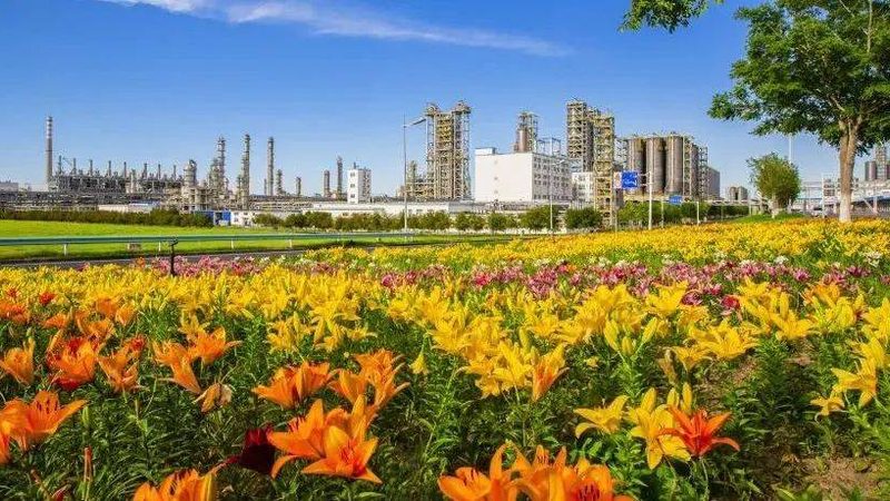 塑料助剂环保标准：绿色制造的未来趋势